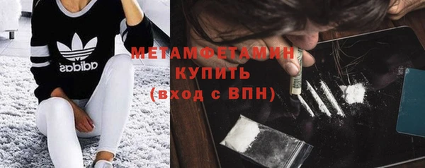 прущие грибы Баксан