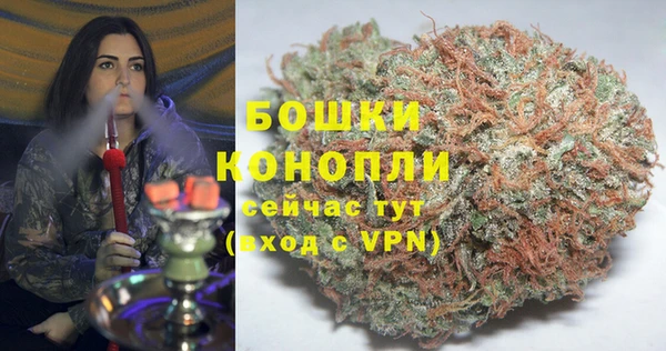 прущие грибы Баксан