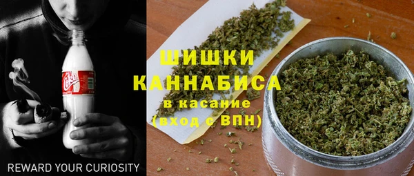 прущие грибы Баксан
